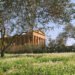 Ancient Greek Temple of Concordia, Agrigento Sicily with olive trees and white flowers